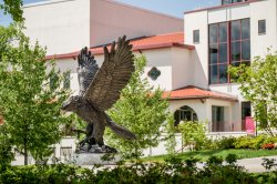 Red Hawk Statue in front of campus building on sunny day.